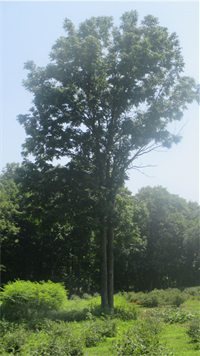 farm_2021-10 farm_2021-10