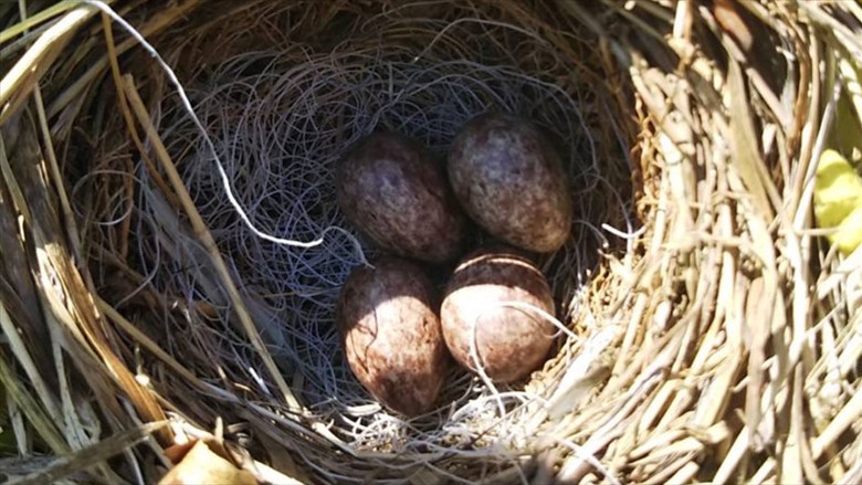 farm_2021-1 farm_2021-1