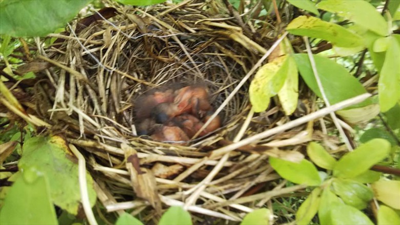 farm_2021-2 farm_2021-2