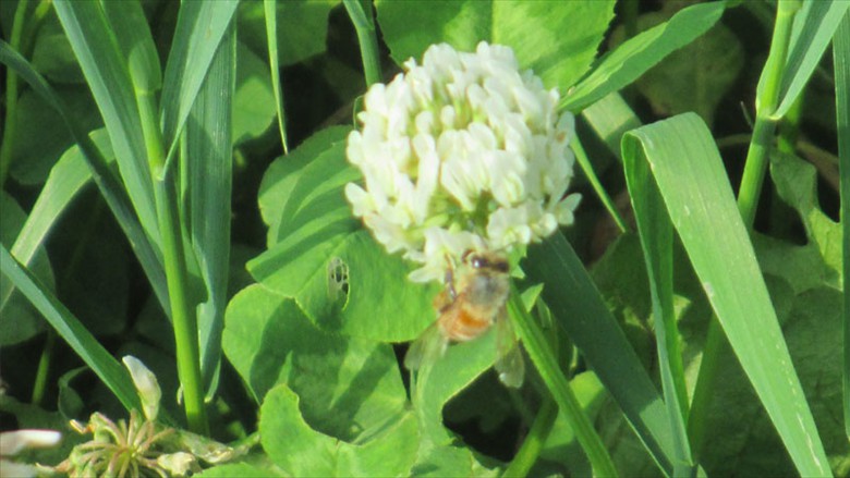 farm_2021-3 farm_2021-3