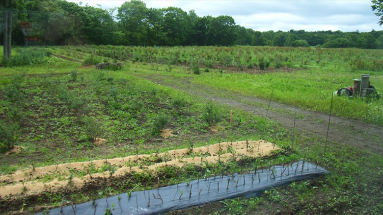 farm_2021-5 farm_2021-5