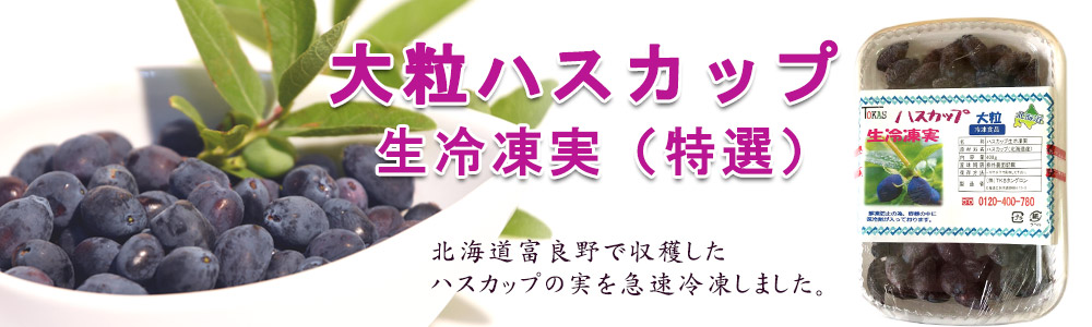 大粒ハスカップ生冷凍実（特選）400ｇ 北海道富良野産