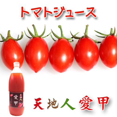 �V�n�l�g�}�g�W���[�X ���b